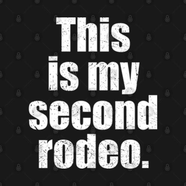 This is My Second Rodeo by RetroPandora