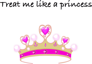 Treat Me Like a Princess Magnet