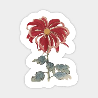 Hasegawa Flowers Magnet