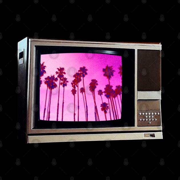 TV SET / Cabrillo PALMS #4 by RickTurner