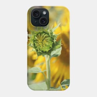 The Blooming of a Flower in the Sun Phone Case