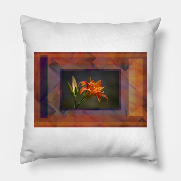 Nature’s Design: Evening Glow 19 Pillow by CGJohnson