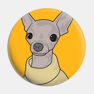 Dog with a charming smile Pin