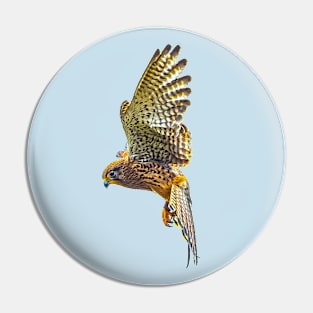 Its a lot less bother with a hover Kestrel Pin