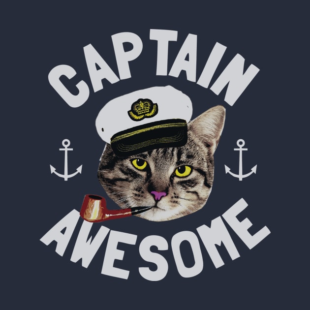 Captain Awesome by toddgoldmanart
