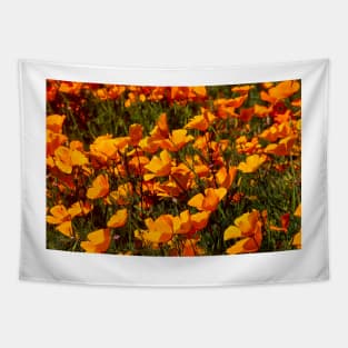 California Wild Golden Poppies Tapestry