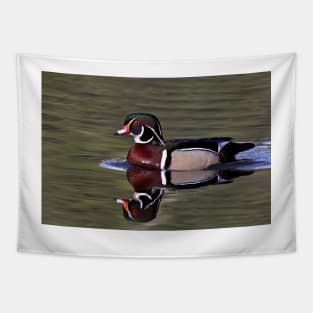 Wood Duck in the sun Tapestry