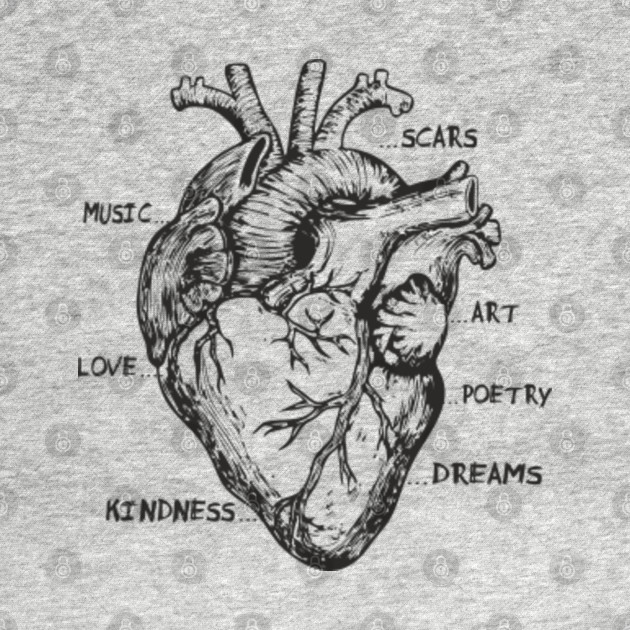 Anatomical Human Heart Art Anatomy Words Anatomical Heart Kids