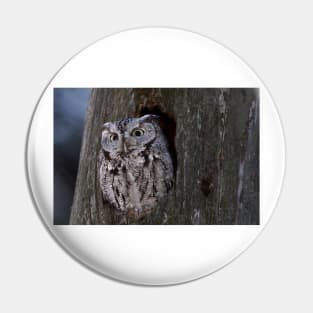 Eastern Screech-Owl Pin