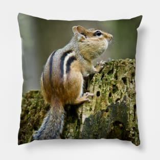 Chipmunk Pillow