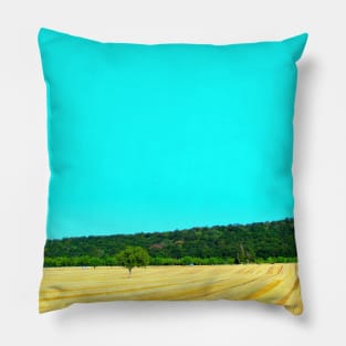 View from Chiaravalle Abbey at agricultural fields Pillow