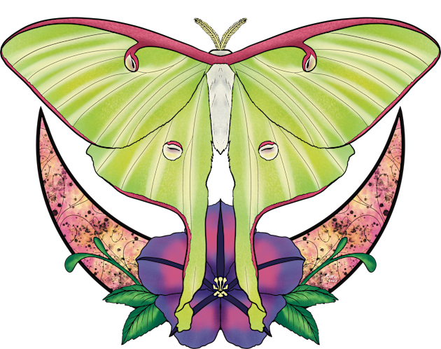 Luna Moth Kids T-Shirt by rvkhart