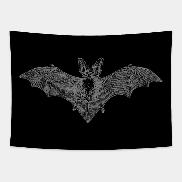 Vintage Bat Tapestry by chrisraimoart