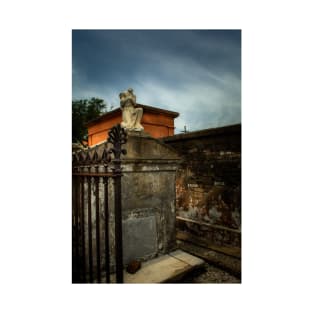 A Fence A Wall and A Headless Angel T-Shirt