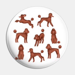 Chocolate Poodles Pin