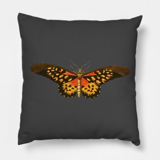 Butterfly Vintage Pillow