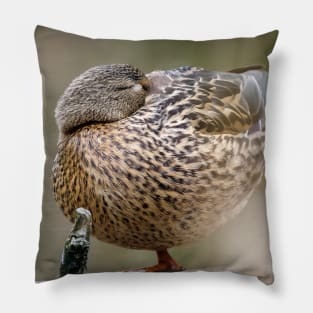 Power Nap Duck Photograph Pillow