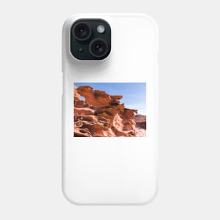 Plants And Birds And Rocks And Things Phone Case