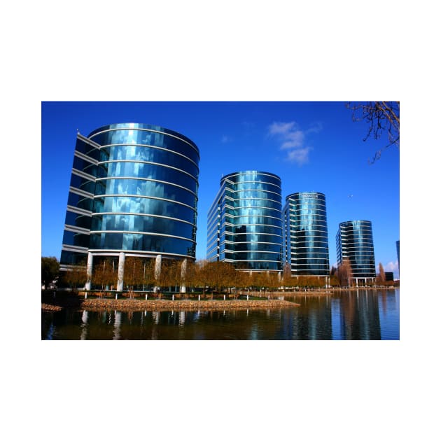 Oracle Campus, San Francisco Bay Area. 2010 by IgorPozdnyakov