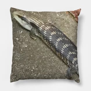 Australian Blue Tongue Lizard ! Pillow