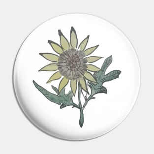 Sunflower Flower Retro Vintage 60s Drawing Pin