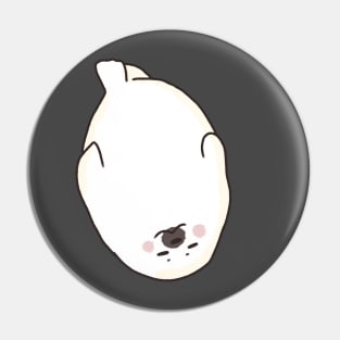 Baby seal illustration Pin