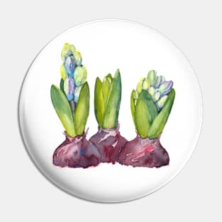 Purple Hyacinth. Watercolor painting. Pin