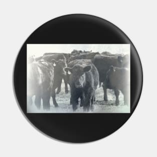 Cows Textured Photograph Pin