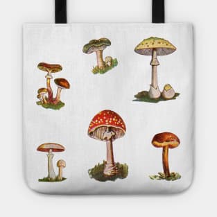 Rome Mushrooms Tote