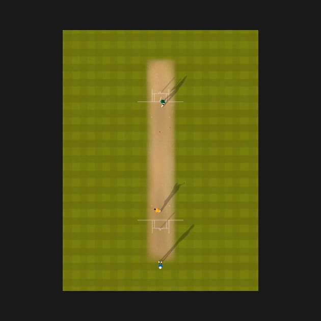 Cricket Pitch | Aerial Illustration by From Above