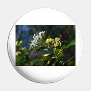 Honeysuckle Pin