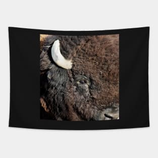 American Bison - Up Close and Personal Tapestry