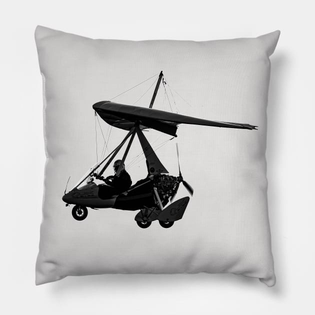 Pegasus Pillow by FotoJarmo