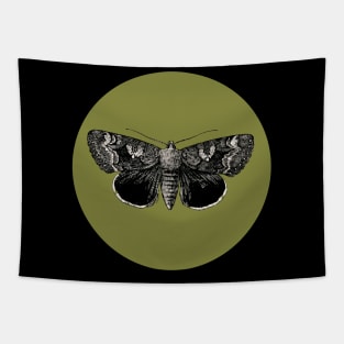Halloween Moth, Omens, Portents, Signs, and Fortunes - Moss Green and Black Variation Tapestry