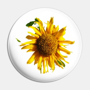 Sunflower Pin