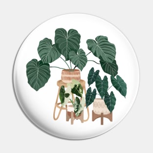 Plant Friend Illustration 1 Pin