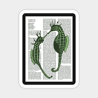 Seahorses green Magnet