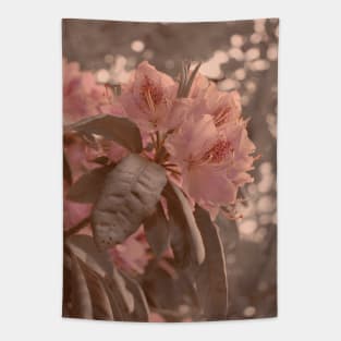 Cherry Blossom Aesthetic Photograph Design Tapestry