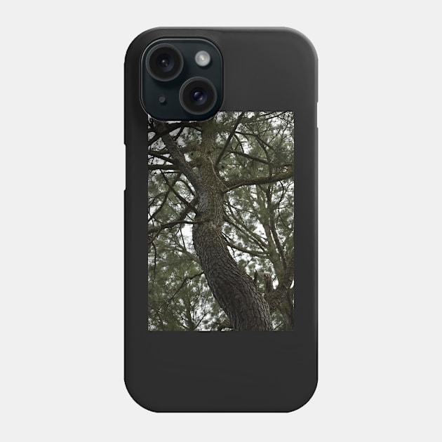 Looking up at a Pine Tree Phone Case by ToniaDelozier