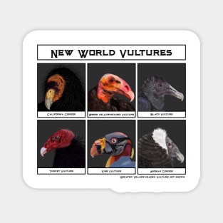 New World Vultures Illustration Magnet