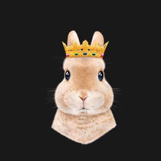 Rabbit princess T-Shirt