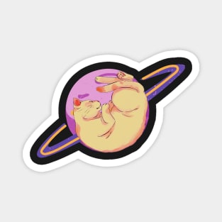 Aesthetic Cat And Saturn Magnet