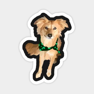 St. Patrick’s day dog with bandana Magnet