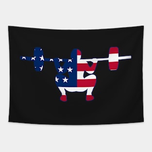 Squats USA FLAG Tapestry