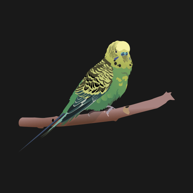 Budgerigar Parrot by NorseTech