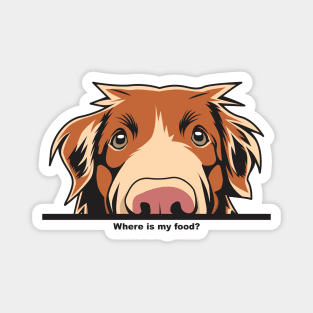 Where Is My Food Funny Toller Magnet