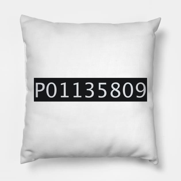 Inmate Number P01135809 Pillow by darklordpug