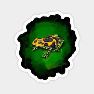 Poison dart frog Magnet