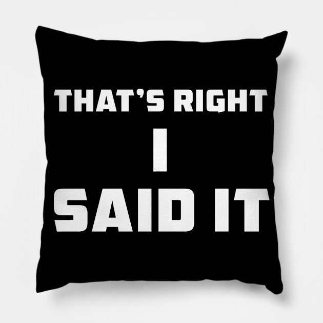 I Said It Pillow by UnOfficialThreads