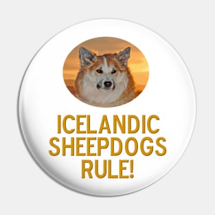 Icelandic Sheepdogs Rule! Pin